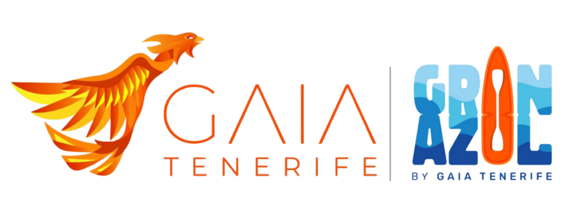 GAIA | Rutas de kayak en Palm-Mar. Excursiones de snorkel en Los Cristianos. Alquiler de kayak en Adeje. Alquiler de stand up paddle en Las Américas. Rutas en kayak en Las Galletas. Excursiones de kayak y snorkel en Los Abrigos. Alquiler de paddle surf en El Médano. Rutas guiadas en kayak en Santa Cruz de Tenerife. Actividades de kayak y snorkel en Puerto de la Cruz. Excursiones en kayak en Palm-Mar. Alquiler de kayak y paddle surf en Los Cristianos. Rutas de kayak, snorkel y paddle surf en Palm-Mar, Los Cristianos, Adeje, Las Américas, Las Galletas, Los Abrigos, El Médano, Santa Cruz de Tenerife y Puerto de la Cruz.
