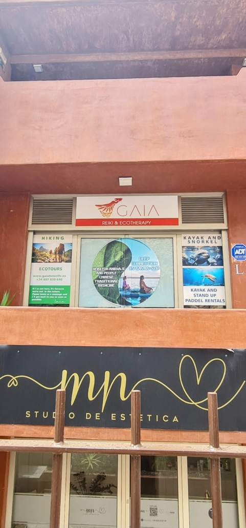 Centro de actividades acuáticas y ecoturismo GAIA en Palm-Mar, Tenerife