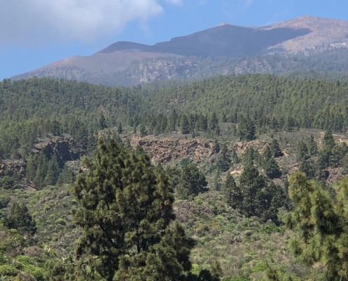 IMG-20210317-WA0027 Vista panorámica de montaña y bosque en Palm-Mar, Tenerife